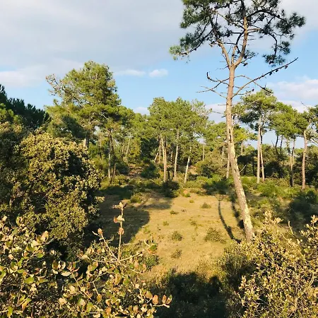 Maison De La Plage, Charme Et Soleil *