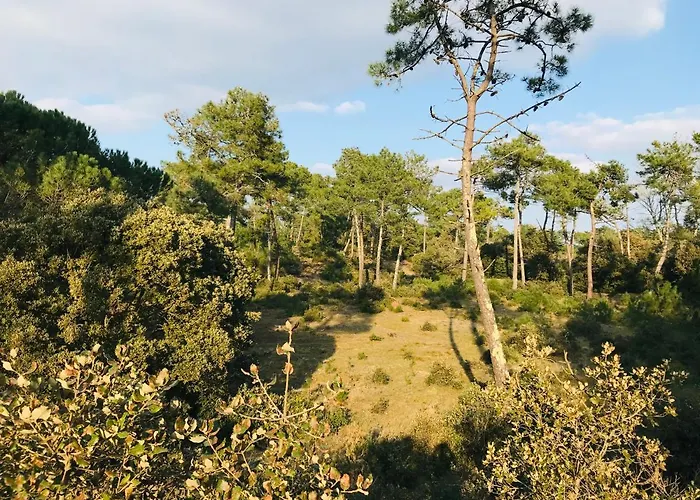 Maison De La Plage, Charme Et Soleil *